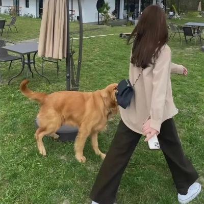 欲海女王蜂